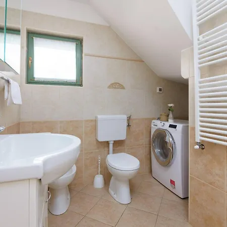 Villa Eco Baldasi Vižinada