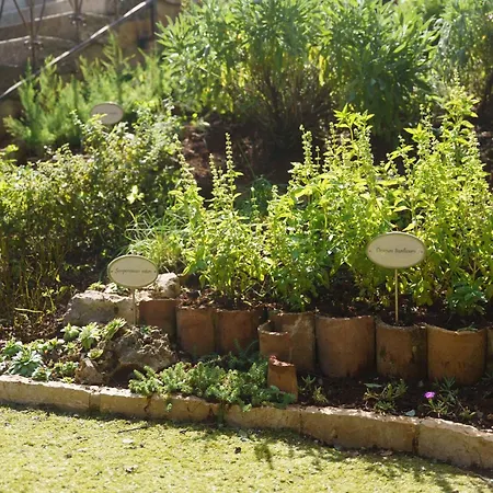 Villa Eco Baldasi *