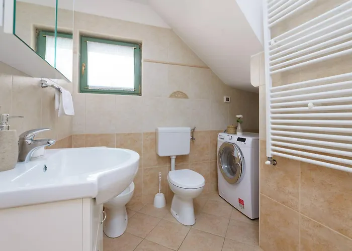 Villa Baldasi Vižinada