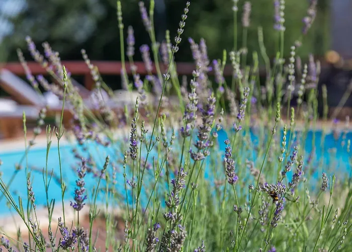 Baldasi Villa Vizinada